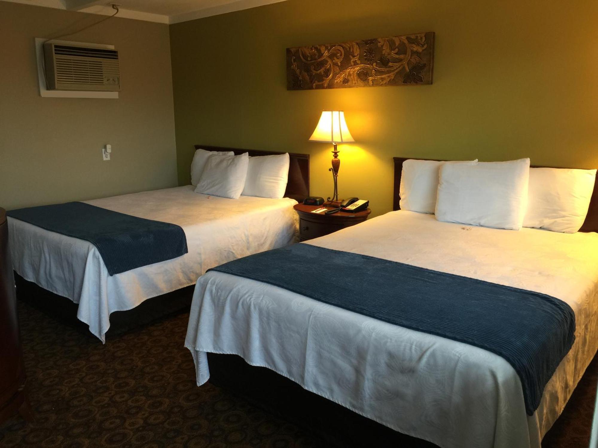 Staying Near Maggie's Jungle Golf: 4 Budget Hotels Compared